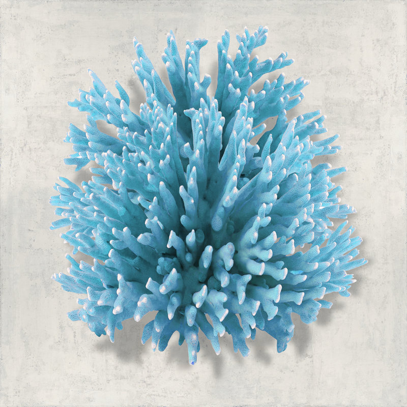 Coral Aqua I by Caroline Kelly - Wrapped Canvas Print, 30cm H x 30cm W