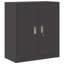 Storage Cabinet-1046416333