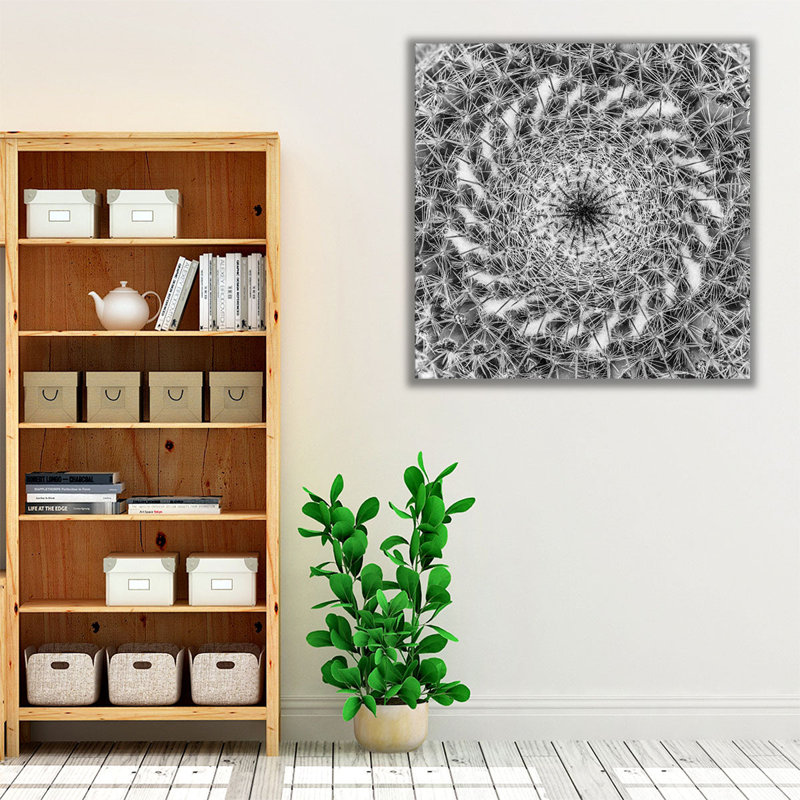 Cacti Close Up - Canvas Print Wall Art, 12" H x 12" W