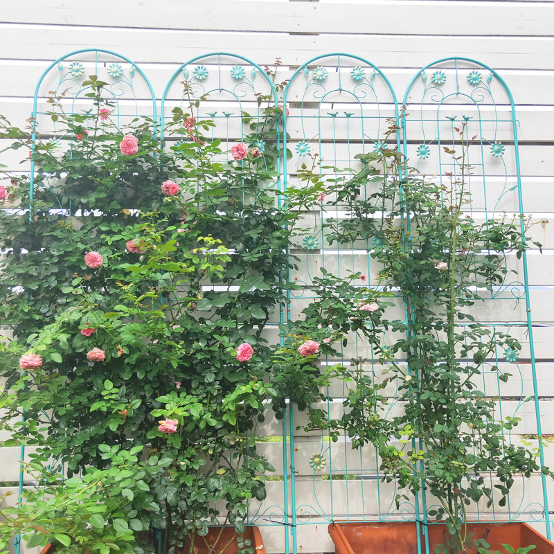 Treillis Mirain, Vert, H 71 po x l 40 po x P 1 po