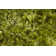 Celecot Performance Abstract Indoor Rug