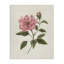 Toile Rosie Rose Flower Blossom, design par Nan-1506092190