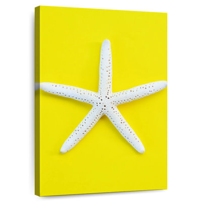 Brampt White Sea Star