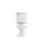 Windham 1.28 GPF Toilet-1548126784