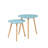 Amethist Nesting End Table-200329899