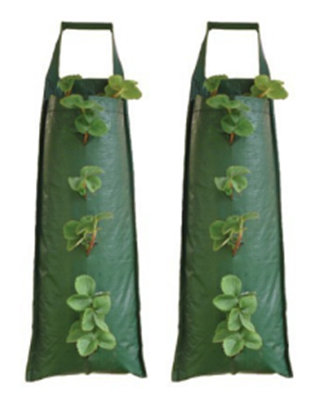 Hendrickson Wall Planter