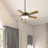 Hunter 52 Inch Pro's Best Energy Star® Ceiling Fan With Lights And Pull Chains-102555569-102555573