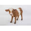 Statue vache debout-120614050