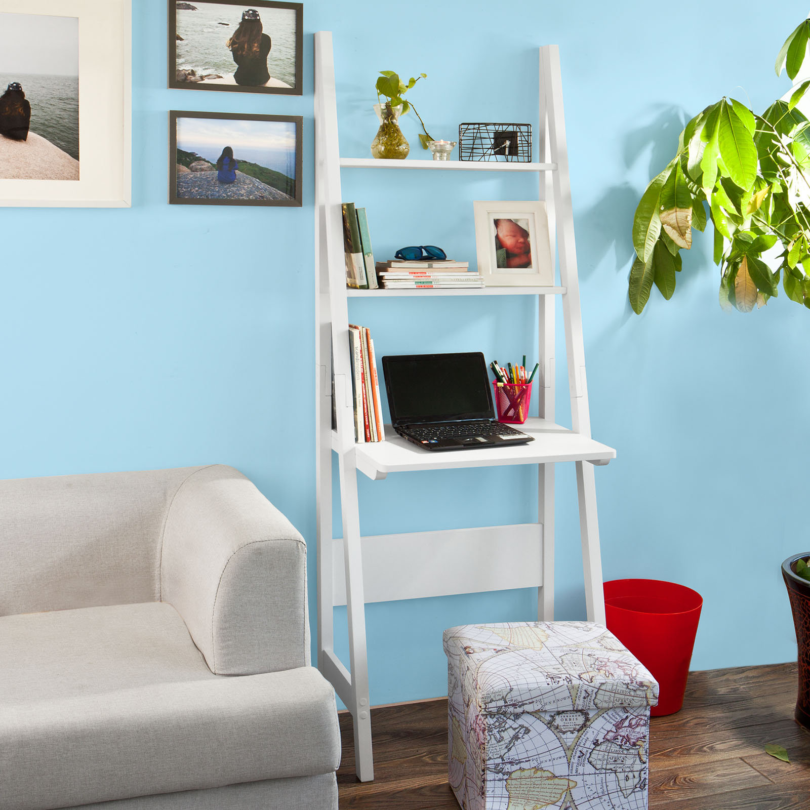 Walmart store ladder bookcase