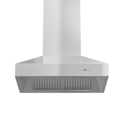 30" Professional 400 CFM Convertible Wall Mount Range Hood in Stainless Steel