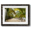 Sentier tropical - impression d'un seul cadre photo-2097141686-2097141681