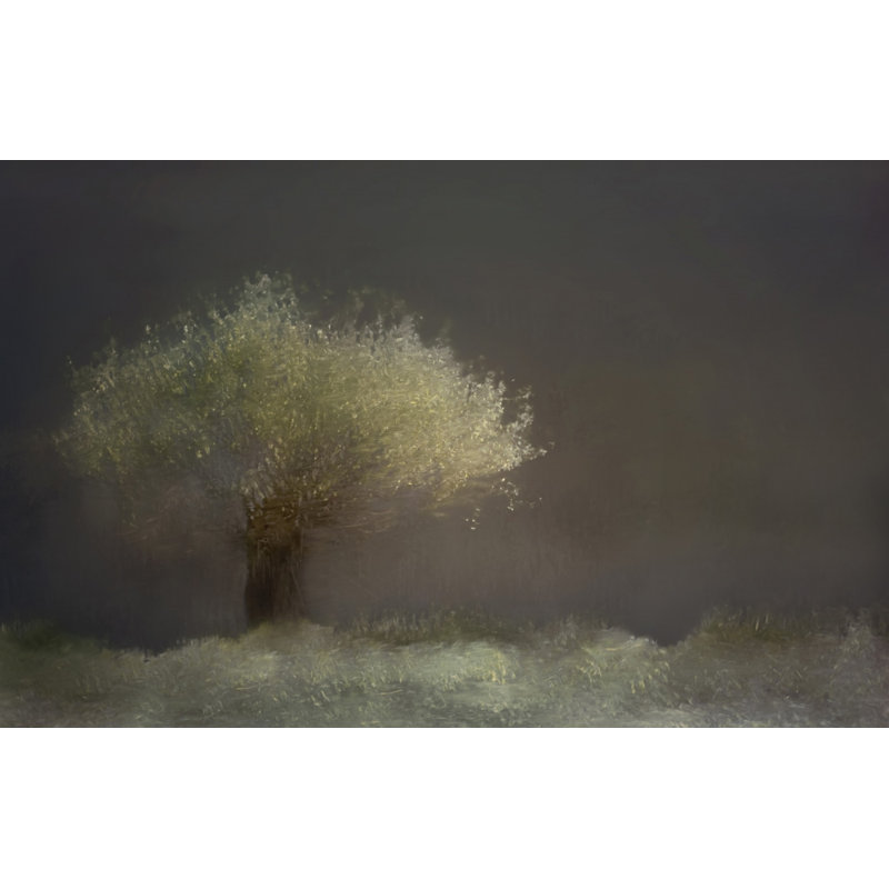 Wrapped Canvas Print, 50.8 cm H x 76.2 cm W