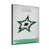 Dallas Stars