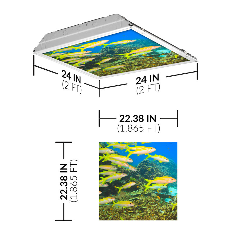 Ocean Square Fixture Component Ceiling Light