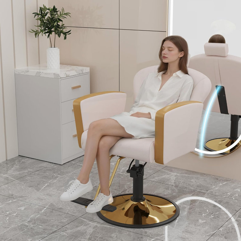 Salon Chair For Hair Stylist,Barber Chair For Home Barbershop With Professional Hydraulic Pump -White/Gold, White, Gold