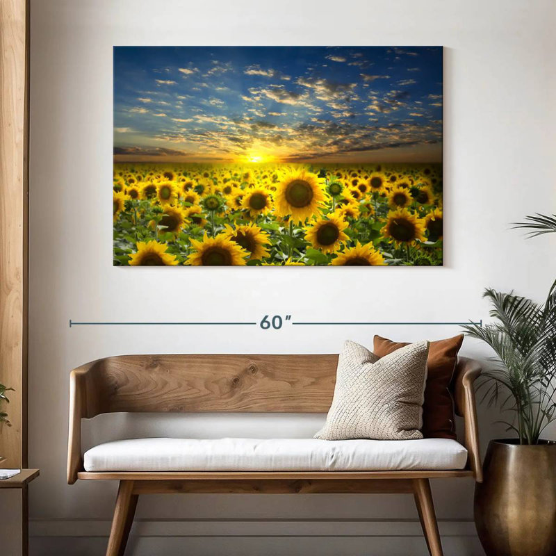 Alvord, tournesol, champ, coucher de soleil, horizon, H 32 po x l 48 po
