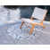 Coyer Floral Indoor / Outdoor Rug