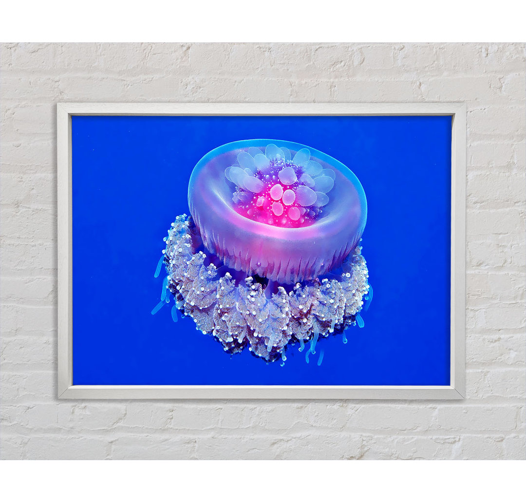 Gerahmtes Bild Jellyfish Pink