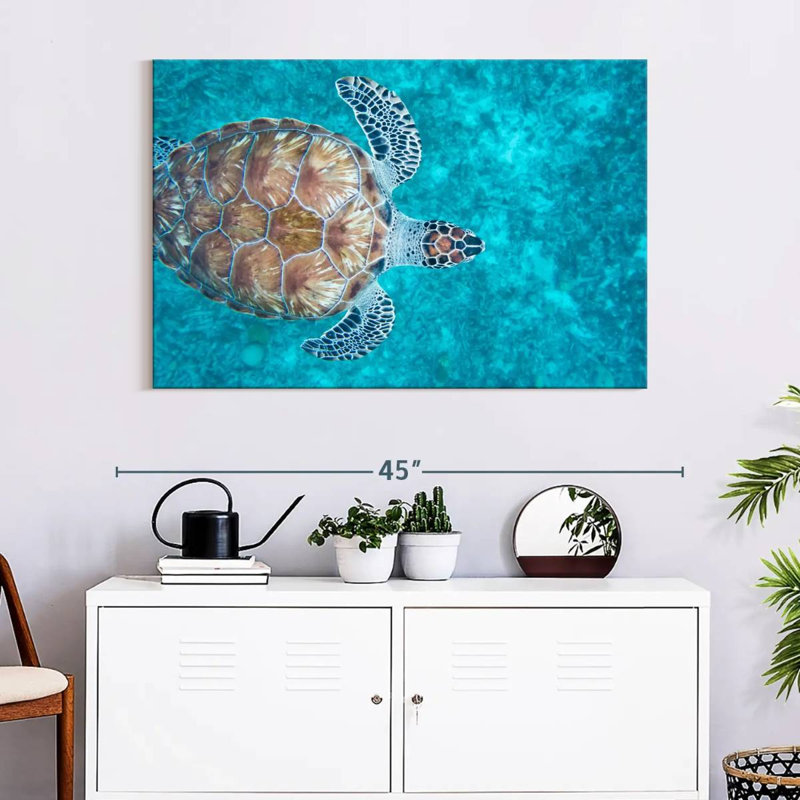 Swimming Hawksbill Sea Turtle, 26" H x 39" W