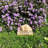Animals Stone Garden Statue