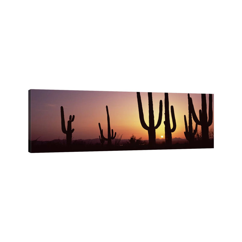Silhouette Of Saguaro Cacti (Carnegiea Gigantea) On A Landscape, Saguaro National Park, Tucson, Pima County, Arizona, USA - Wrapped Canvas Panoramic Print