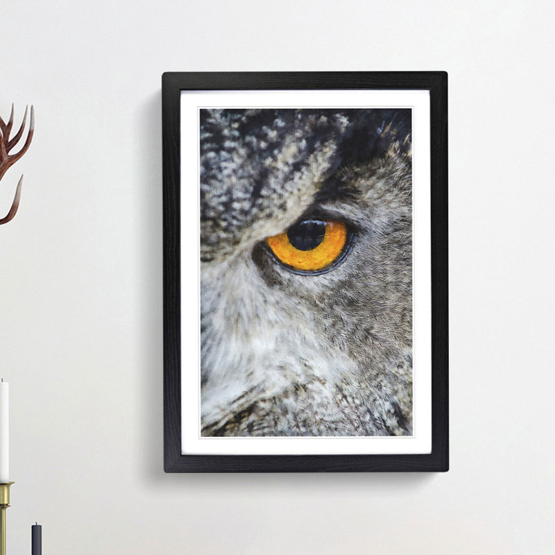 Eye of an Owl - Picture Frame Painting Print, Black Framed, 87cm H x 62cm W x 2cm D