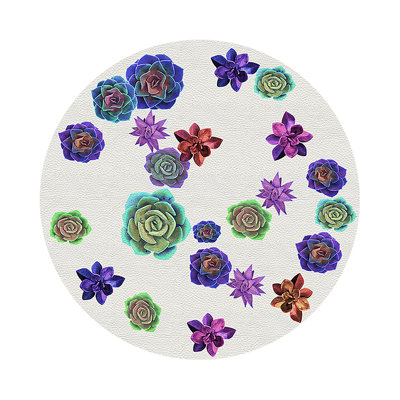 Napperon Succulents