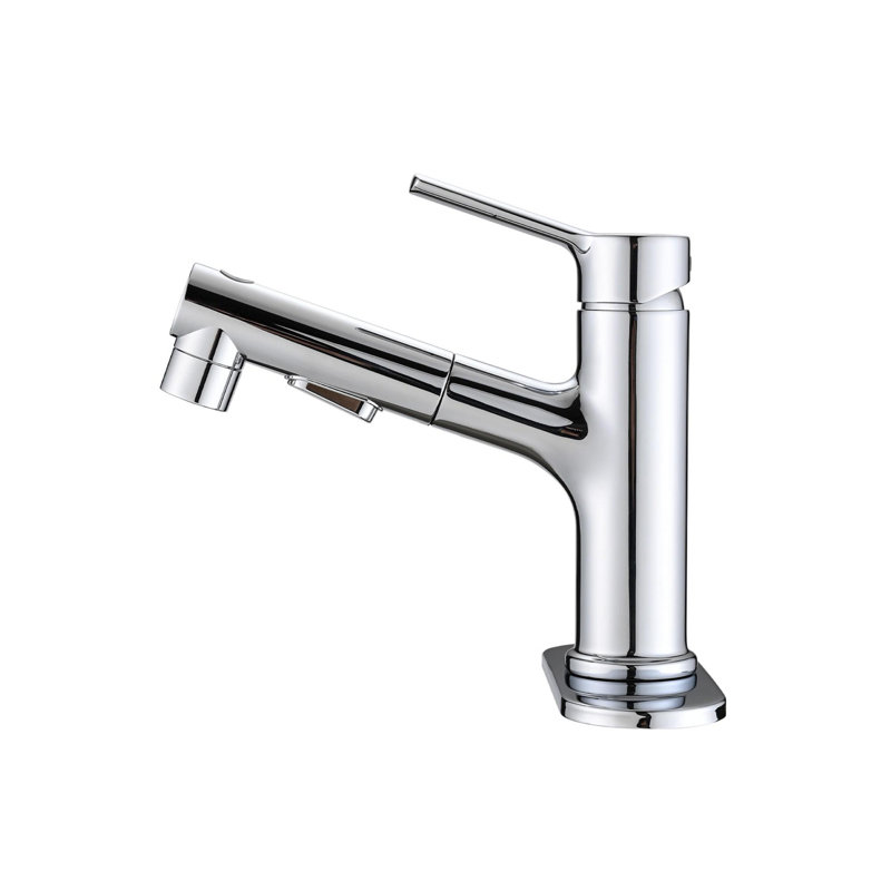Robinet de lavabo de salle de bain à poignée simple en acier inoxydable avec douchette extractible, Chrome chrome