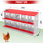 Chicken Coop-1936630895