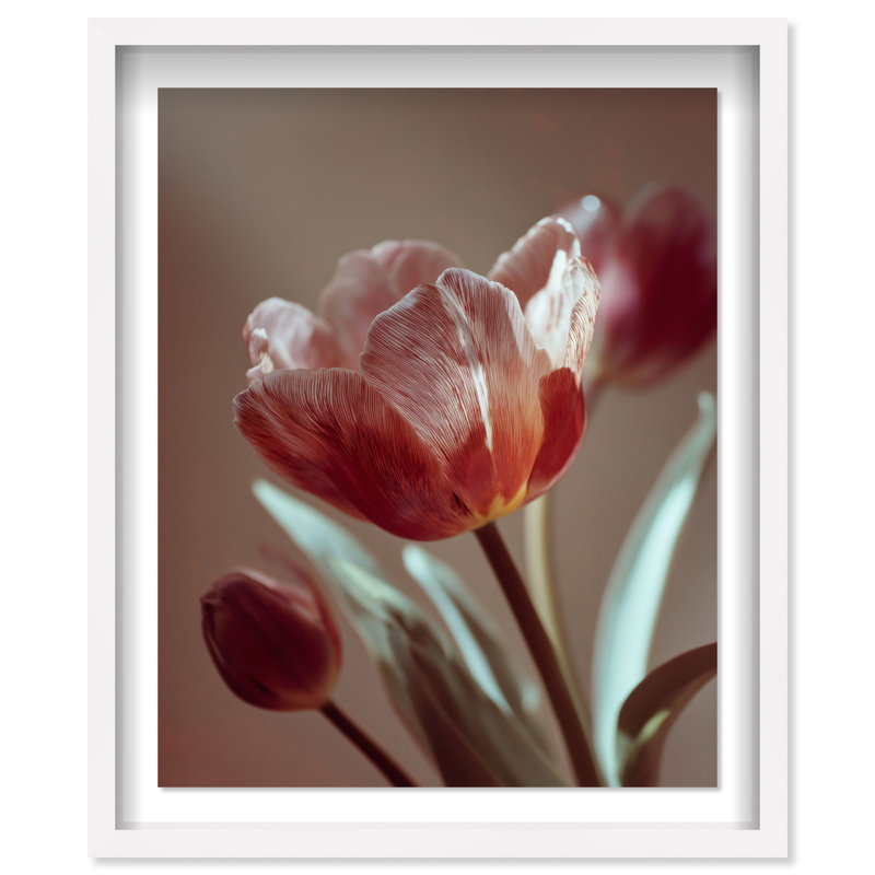 Muse of Spring Shadowbox Floral & Botanical Print by Oliver Gal, Black Frame, 16 x 20, 25.5"H x 31.5"W, White Shadowbox