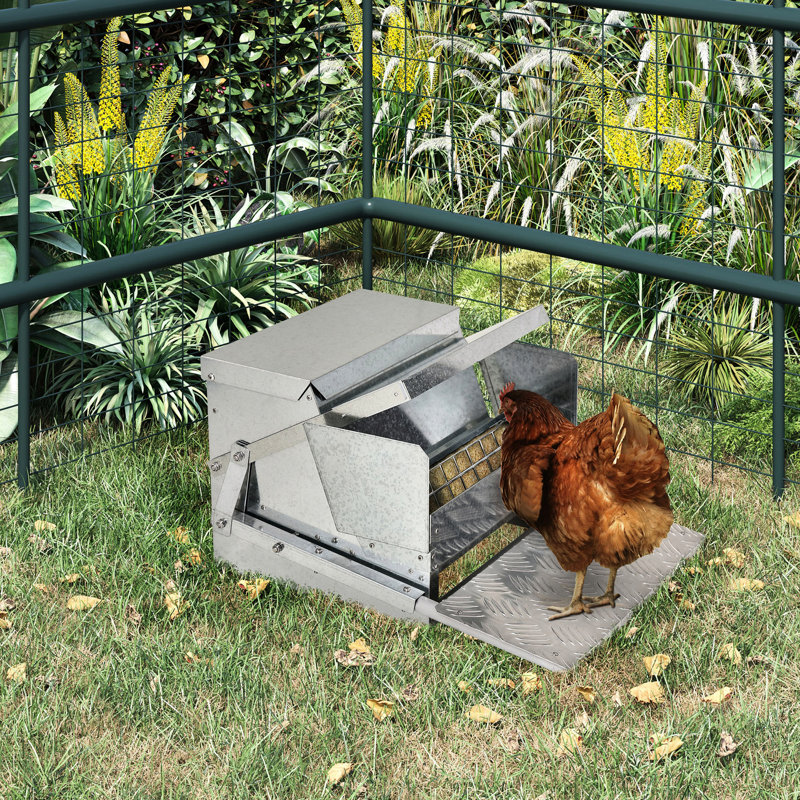 Système d'alimentation automatique de volaille - capacité de 25 lb, galvanisé et aluminium, améliore la santé globale et la capacité de performance de la mangeoire à poulets