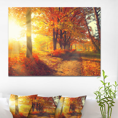 Autumnal Trees, Sunrays - Wrapped Canvas Photograph Print