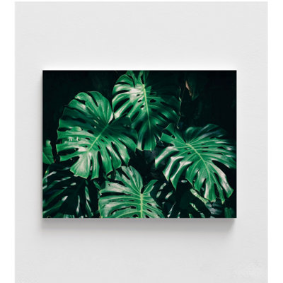 Reproduction de photo de Monstera, décoration de bureau botanique, décoration de photo de nature, idée de cadeau de maman Monstera, impression d'art mural de bureau de dame