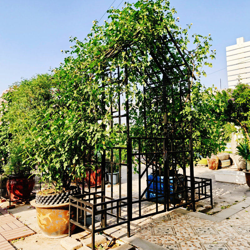 Arche de jardin en métal avec barrière avec jardinière W80.71 * H97.24