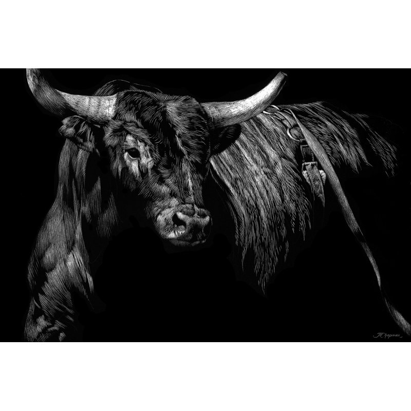 'Brindle Rodeo Bull' by Julie Chapman - Painting Print, Black Floater Framed, 81cm H x 122cm W