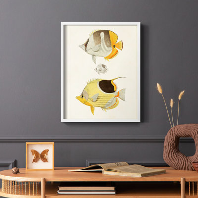 «Yellow & Gray Fish II», reproduction encadrée - bois massif
