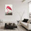 Coastal Retreat Pink Flamingo II From Birds Of America (1827)-1524922400-1524922585-1524922591