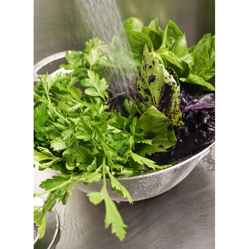 Stainless Steel 4 Qt Mesh Colander with Handles