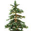 Holiday Tree Stocking Holder