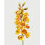 Cream Cymbidium Orchid 33"-1398070698