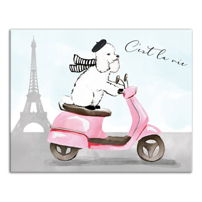 Art sur toile caniche french sassy Boston