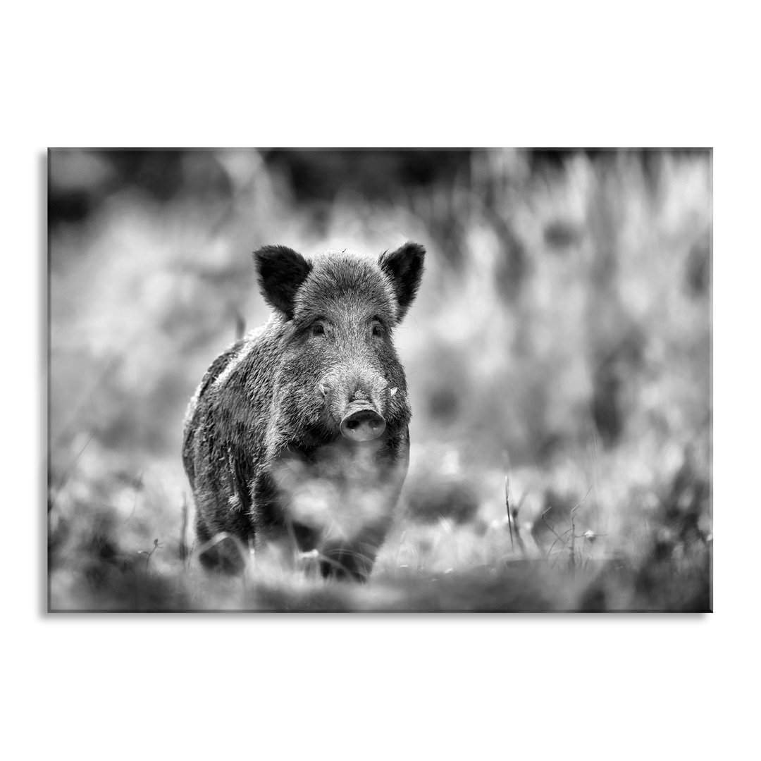 Glasbild Stolzes Wildschwein im Wald