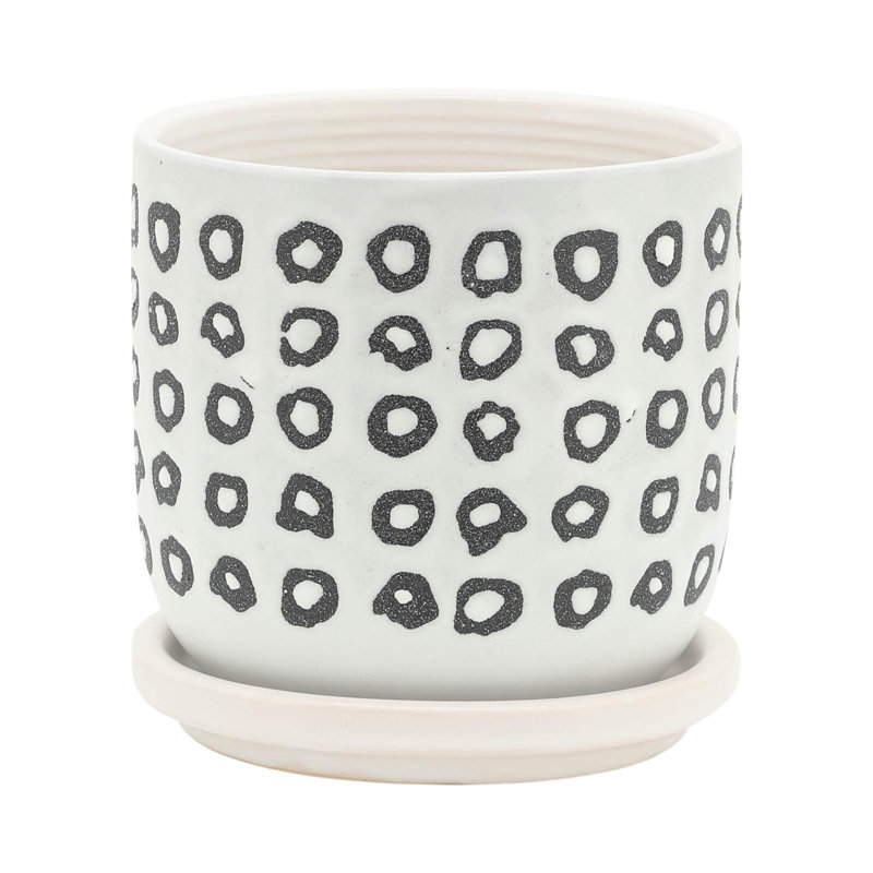 Includes plant rack flower pots