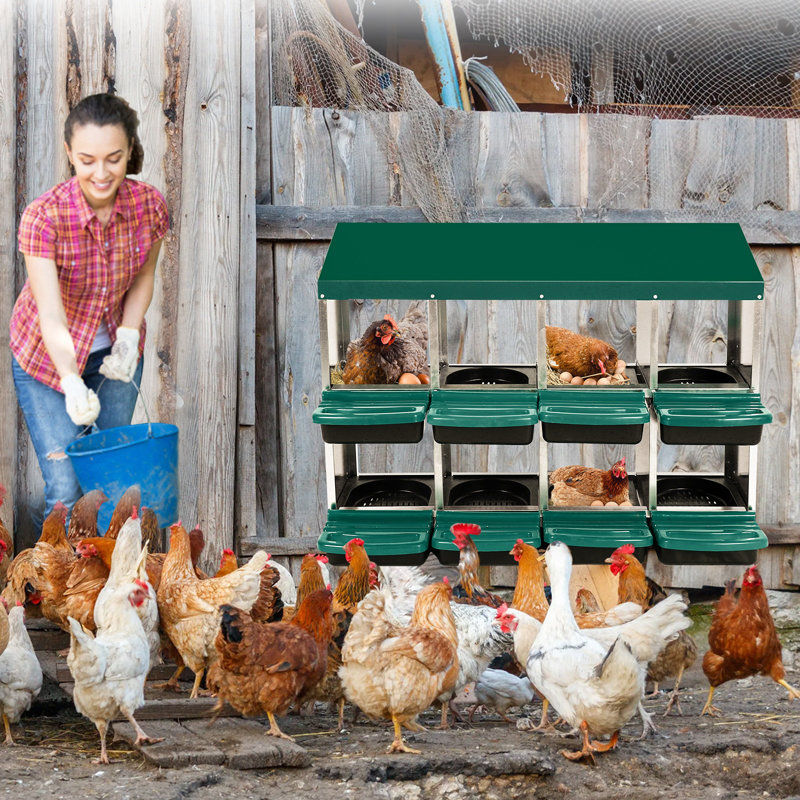 Boîte de nidification pour poulets, boîte de nidification pour poulets à 8 trous, nichoirs roulants en acier galvanisé avec couvercle pour protéger les œufs, nichoirs pour poules pondeuses, vert
