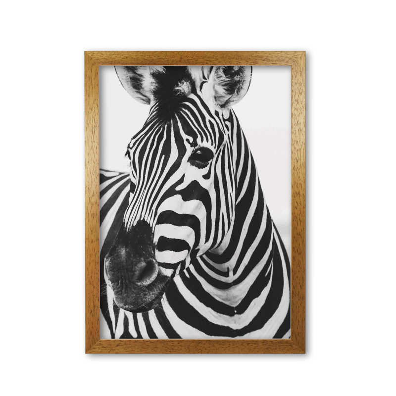 Zebra - Print, Honey Oak Frame, 42 cm H x 30 cm W x 5 cm D
