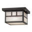 1 - Light Flush Mount
