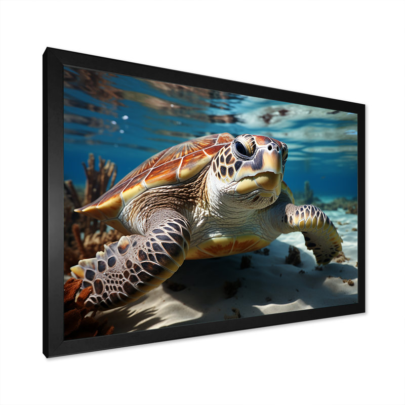 Minimalist Lagoon Turtle sur toile, Cadre simple noir, H 30 po x l 40 po x P 1,5 po