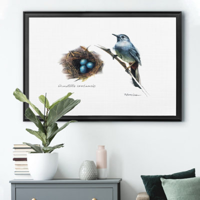 " Bird And Nest Study II "