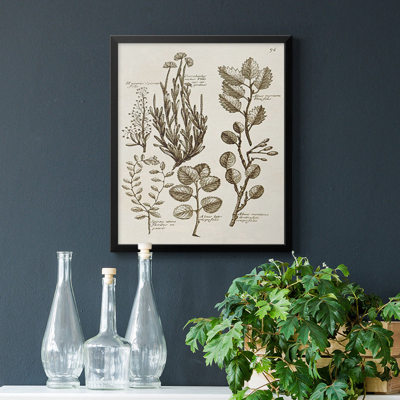 Toile encadrée de qualité supérieure sépia Botanical Journal, Noir, H 24 po x l 20 po