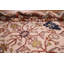 Tapis oriental fait à la main Oushak 8 x 10